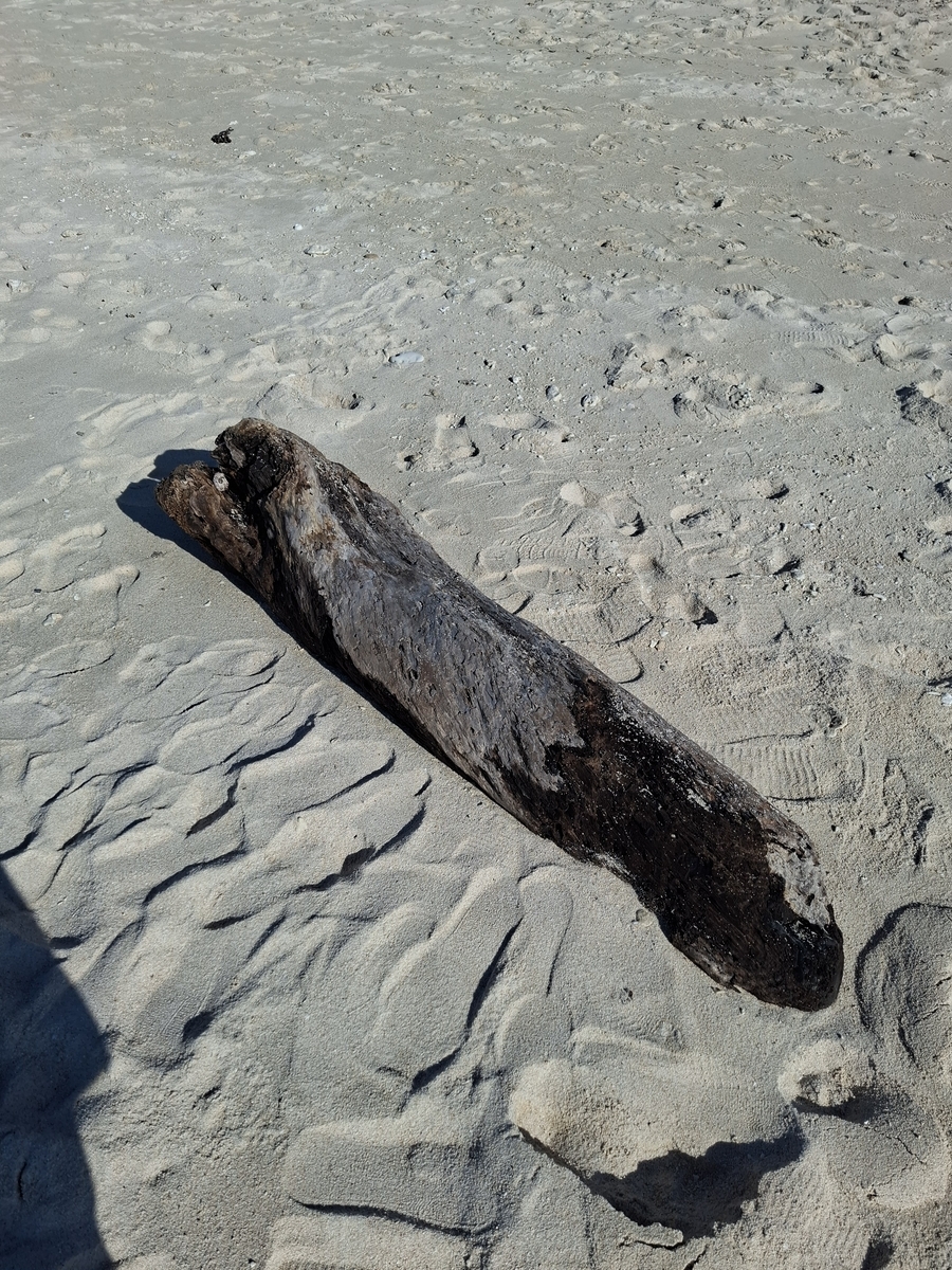 どうしようもないおじさんが座っていた瀬底ビーチの流木