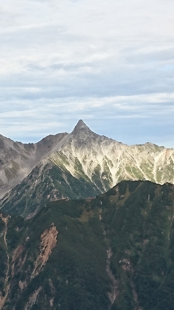 f:id:wasab_p:20181215225208j:plain f:id:wasab_p:20181215225208j:plain