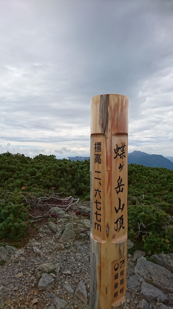 f:id:wasab_p:20181215225341j:plain f:id:wasab_p:20181215225341j:plain