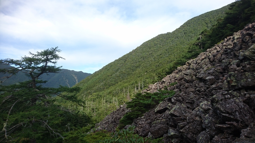 f:id:wasab_p:20181215231037j:plain f:id:wasab_p:20181215231037j:plain