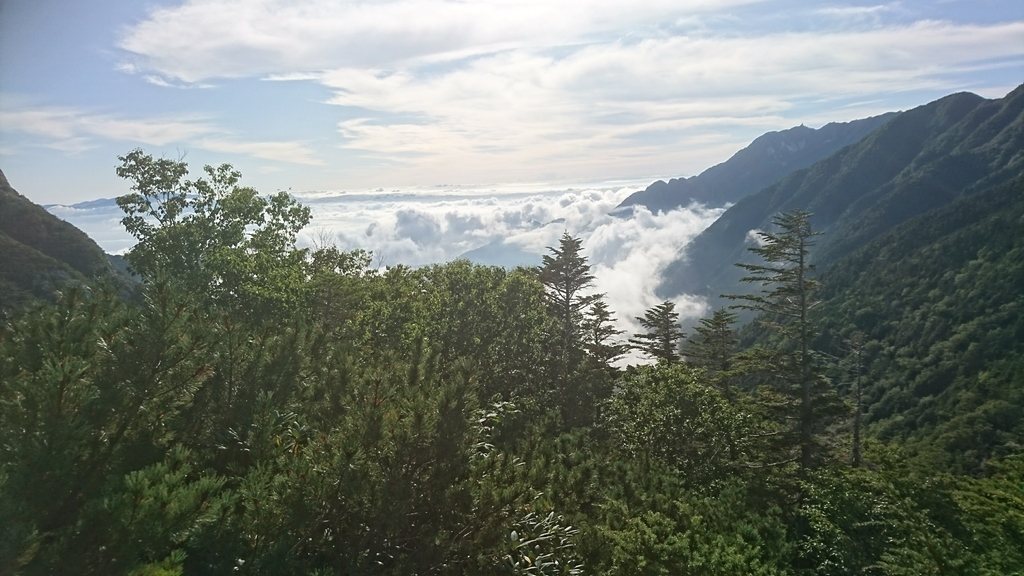 f:id:wasab_p:20181215231723j:plain f:id:wasab_p:20181215231723j:plain