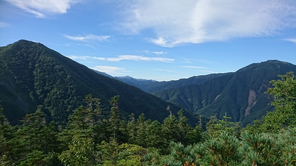 f:id:wasab_p:20181215232014j:plain f:id:wasab_p:20181215232014j:plain