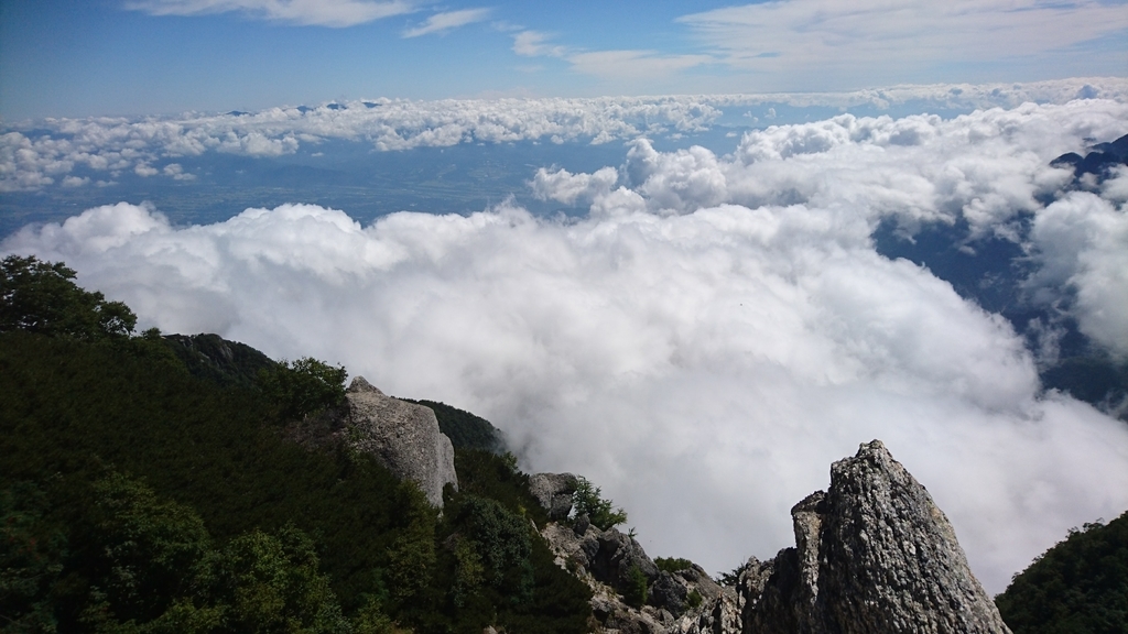 f:id:wasab_p:20181215233135j:plain f:id:wasab_p:20181215233135j:plain