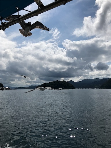 f:id:wasabi110:20170826212545j:image f:id:wasabi110:20170826212545j:image