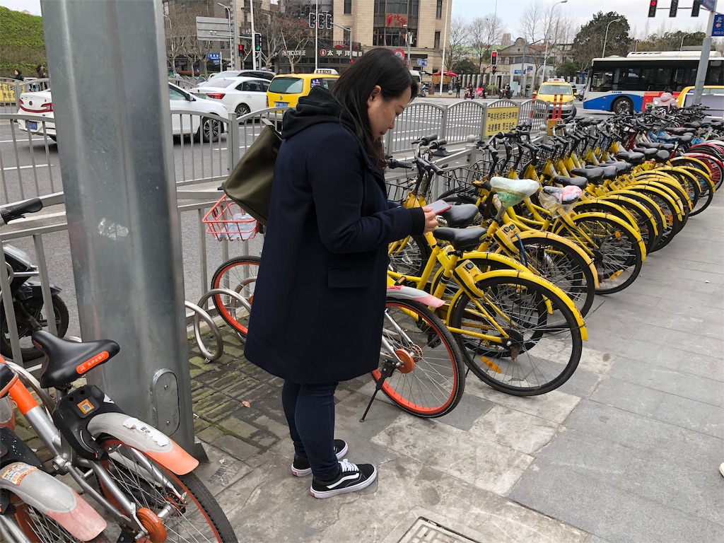 f:id:wasabi1204:20190326231152j:image