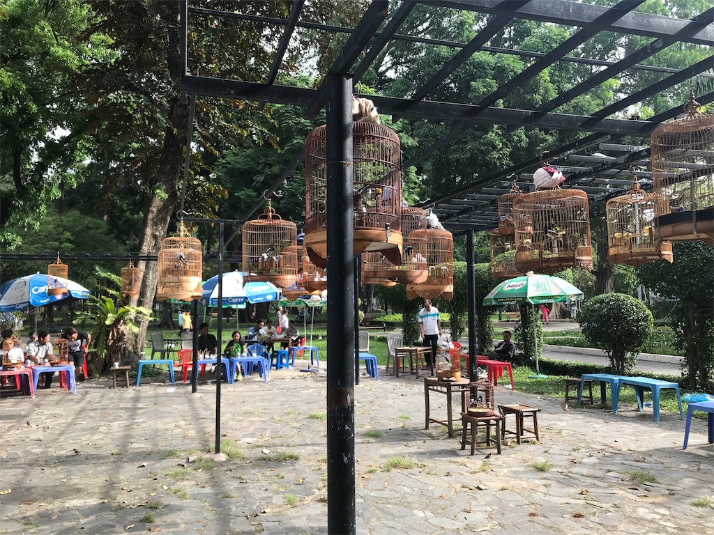 f:id:wasabi1204:20190329231211j:image