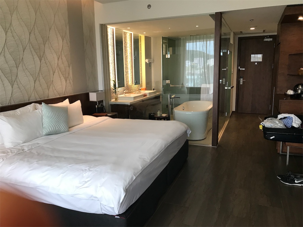 f:id:wasabi1204:20190329231814j:image