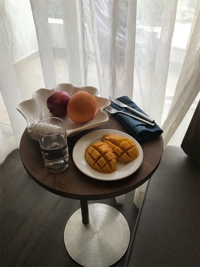 f:id:wasabi1204:20190330174918j:image