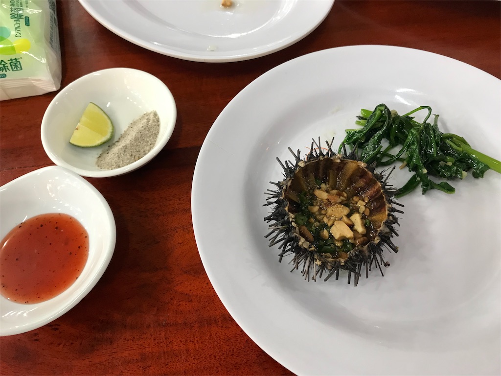 f:id:wasabi1204:20190330222638j:image