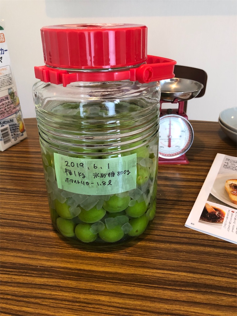 f:id:wasabi1204:20190601194623j:image