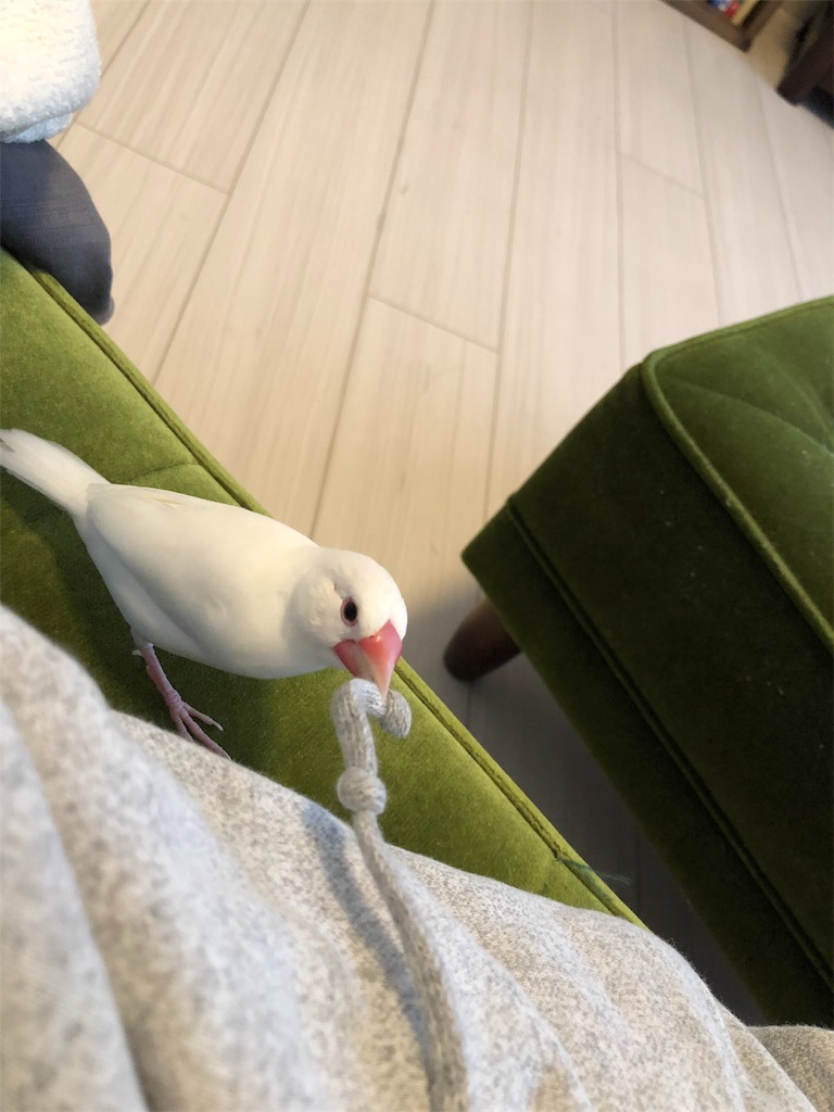 f:id:wasabi1204:20190711143812j:image f:id:wasabi1204:20190711143812j:image