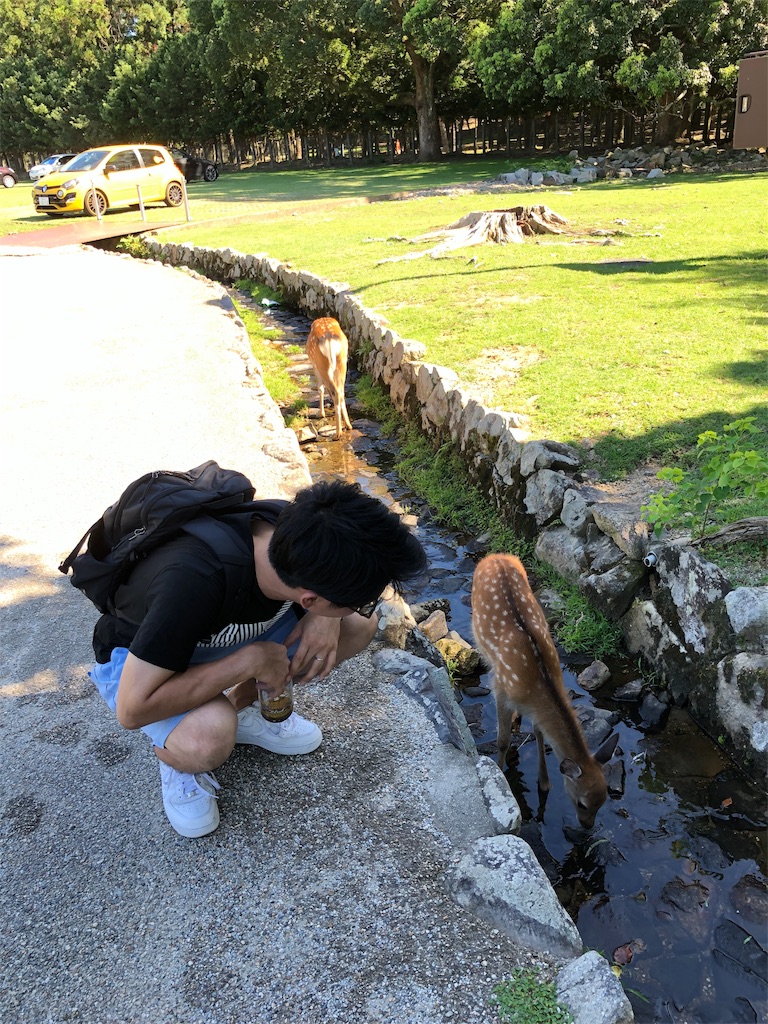 f:id:wasabi1204:20190924202834j:image