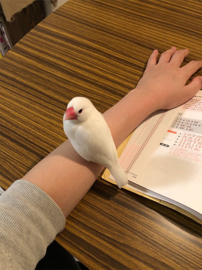 f:id:wasabi1204:20191024074303j:image f:id:wasabi1204:20191024074303j:image