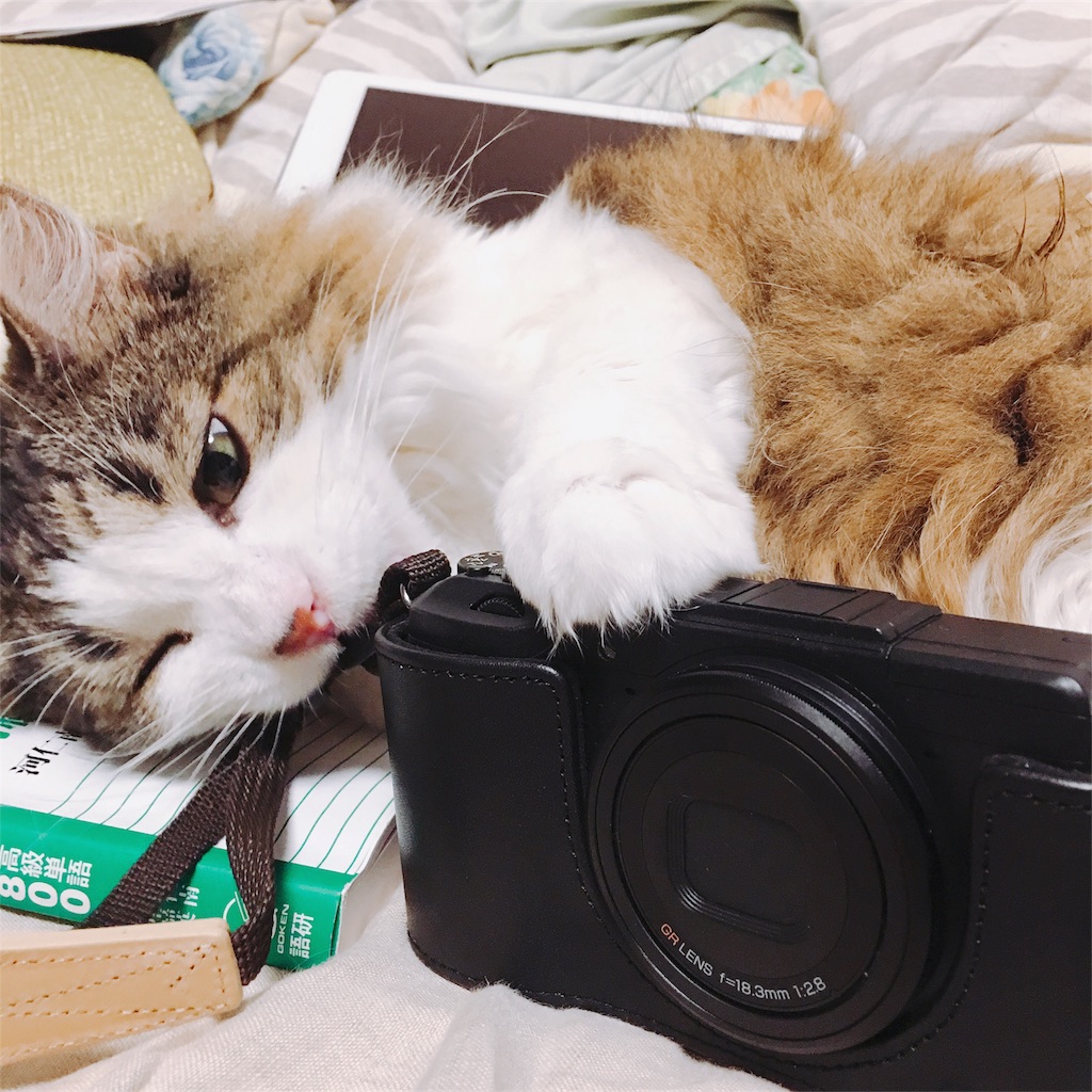 f:id:wasabing:20180708094231j:image