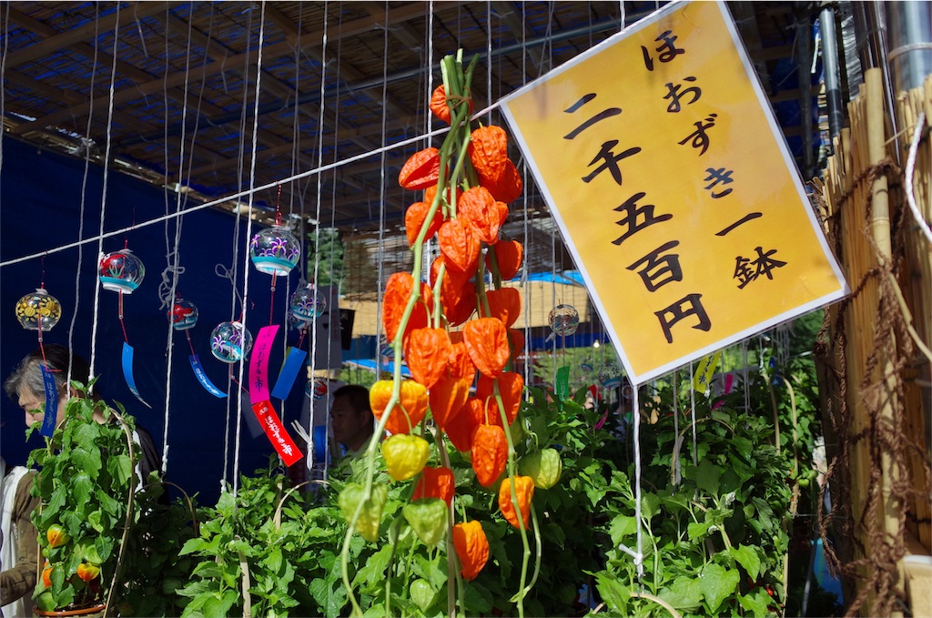 f:id:wasabing:20180711112832j:image
