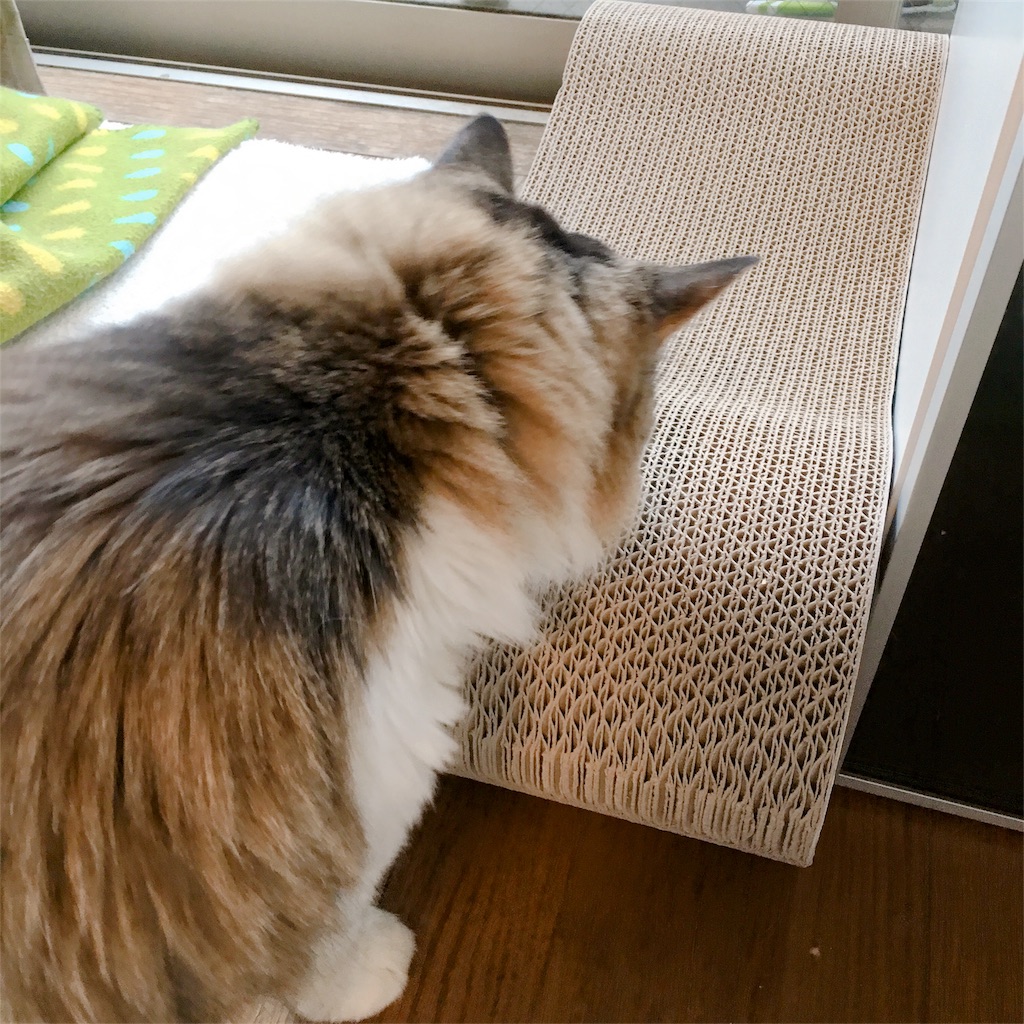 f:id:wasabing:20180727192212j:image