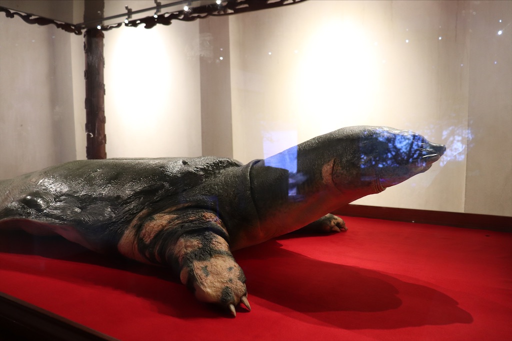 f:id:wasagi1128:20200524133838j:image f:id:wasagi1128:20200524133838j:image