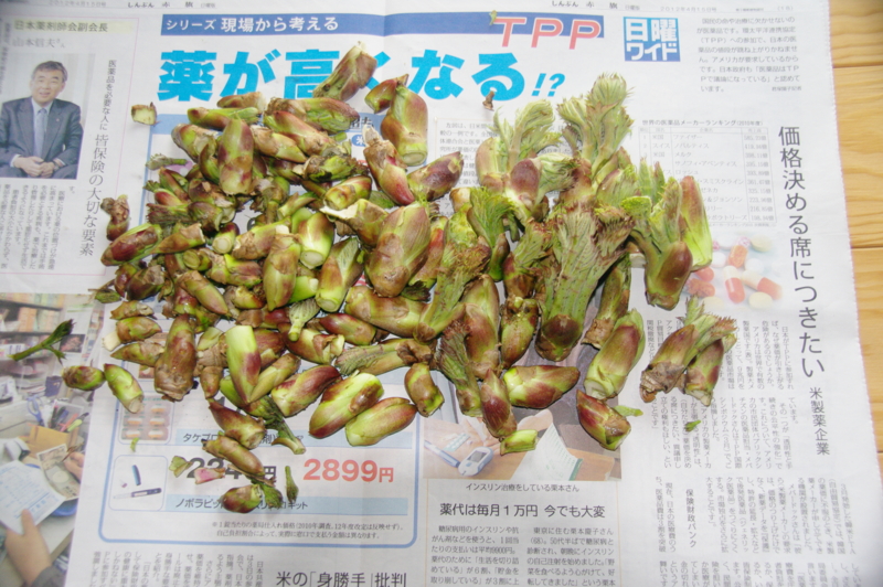 f:id:wasakoki7778:20120419131742j:image:w360