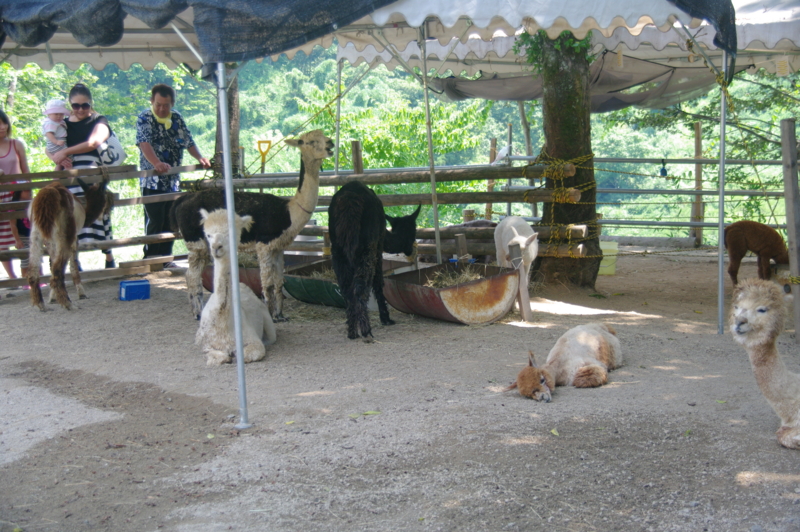 f:id:wasakoki7778:20120826122253j:image:w640 f:id:wasakoki7778:20120826122253j:image:w640
