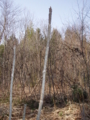 20130404144721