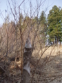 20130404144753
