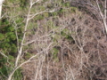 20130404150532