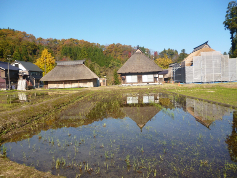f:id:wasakoki7778:20131117100301j:image:w640
