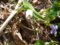 20140426120445