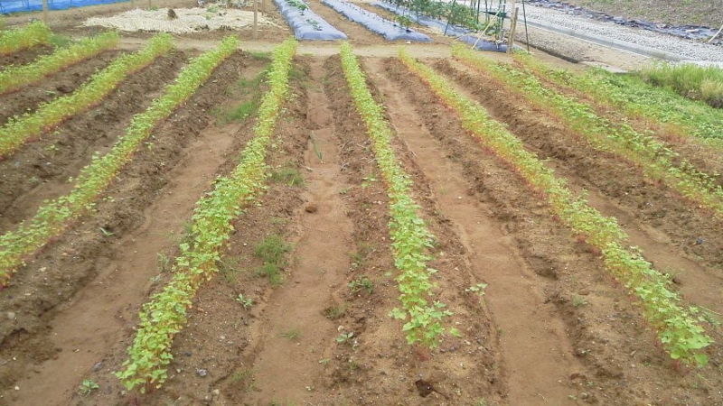 20140526133900