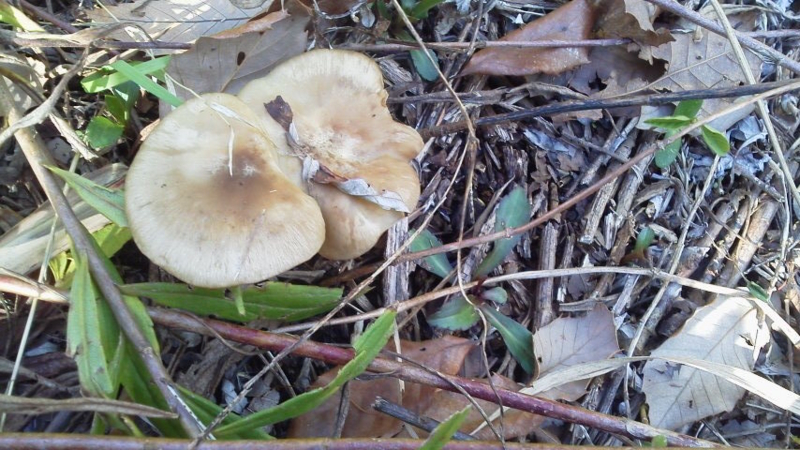 20151130135400