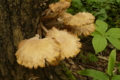 20160718101455