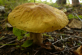 20160910121304