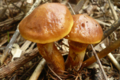 20160910141445