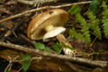 20160921134453