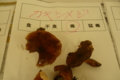 20161012121258