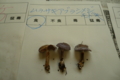 20161012122101