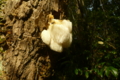 20161013150131