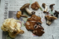 20161013155510