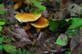 20181003102451