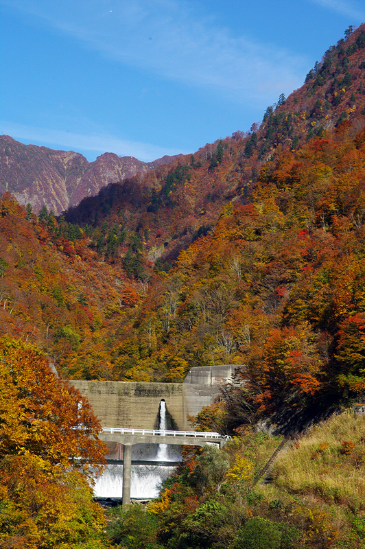 f:id:wasakoki7778:20181105113759j:image:w640