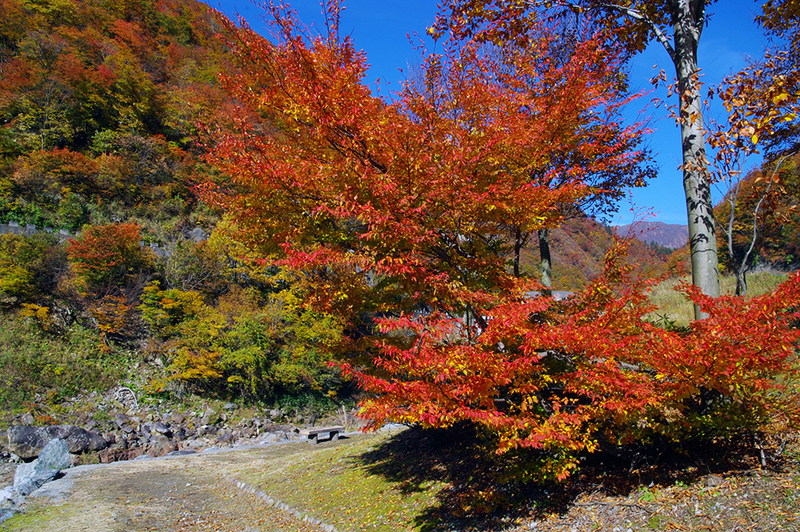 f:id:wasakoki7778:20181105114557j:image:w640