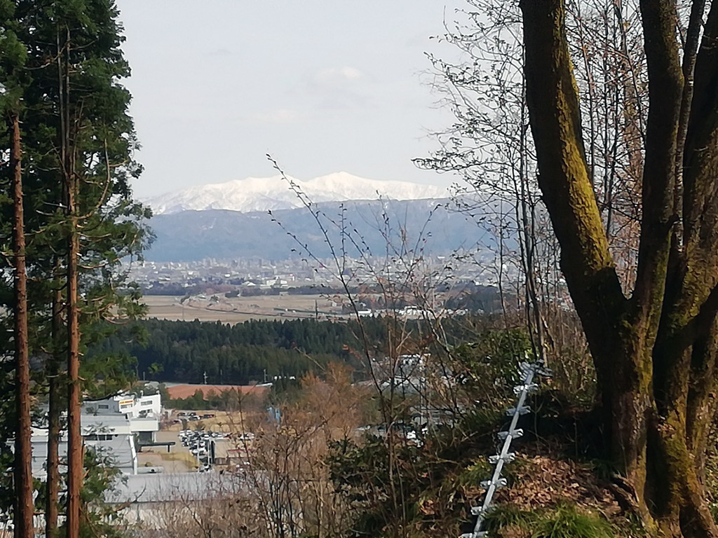 f:id:wasakoki7778:20190329232053j:plain