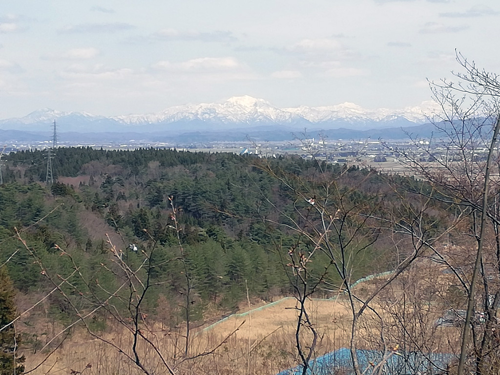 f:id:wasakoki7778:20190329232315j:plain