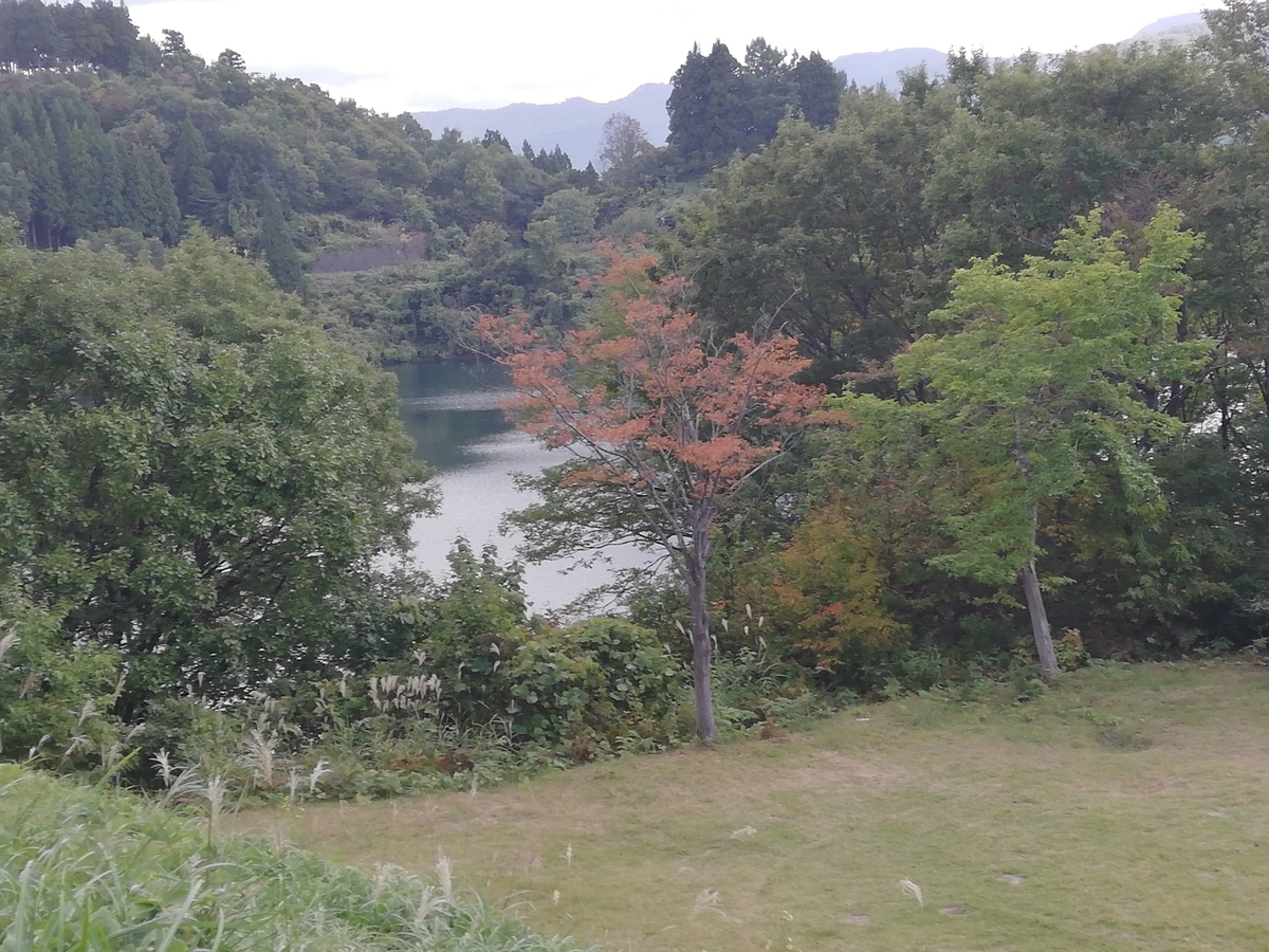 f:id:wasakoki7778:20201020115037j:plain