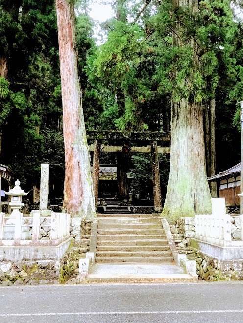 f:id:wasamaroon:20180416015928j:plain