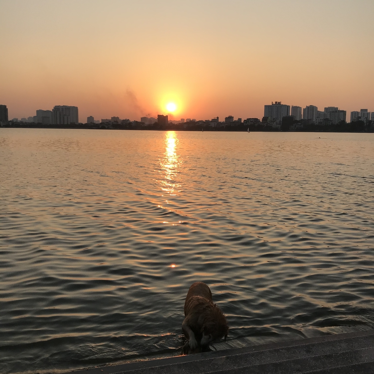 いい天気だわ Under The Same Sky