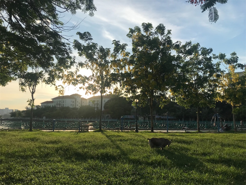 f:id:wasami:20210616212010j:image f:id:wasami:20210616212010j:image