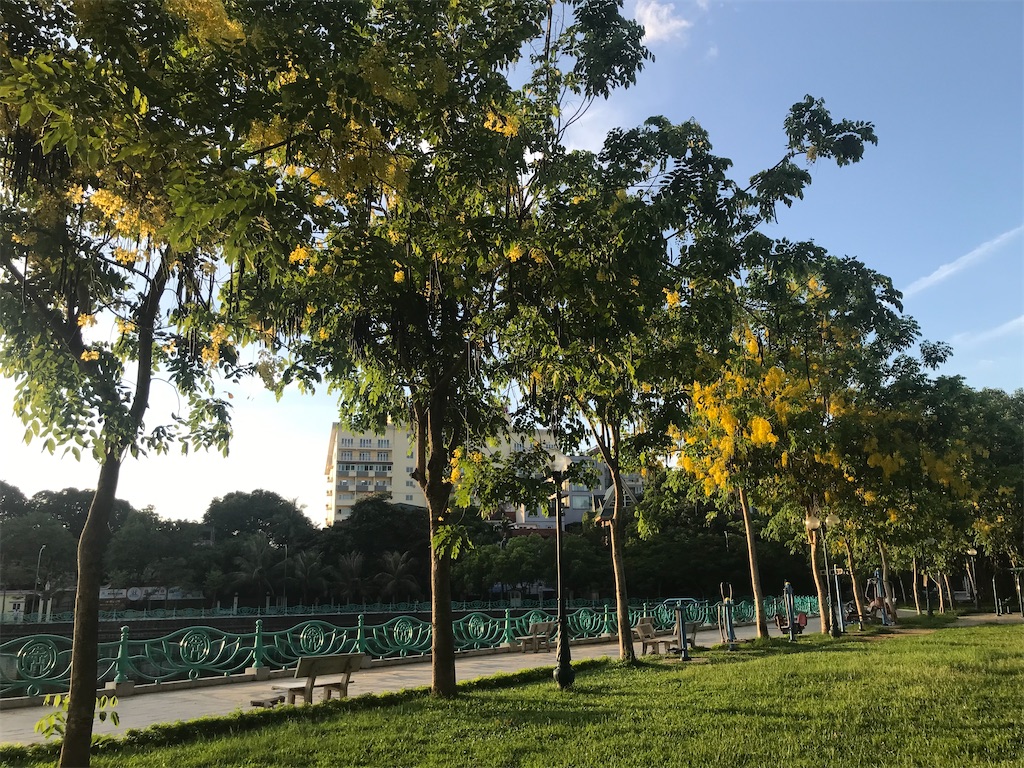 f:id:wasami:20210616212054j:image f:id:wasami:20210616212054j:image