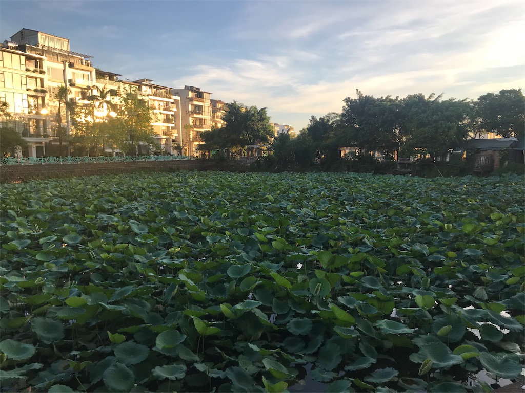 f:id:wasami:20210616212355j:image f:id:wasami:20210616212355j:image