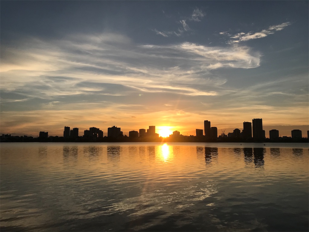 f:id:wasami:20210616212447j:image f:id:wasami:20210616212447j:image